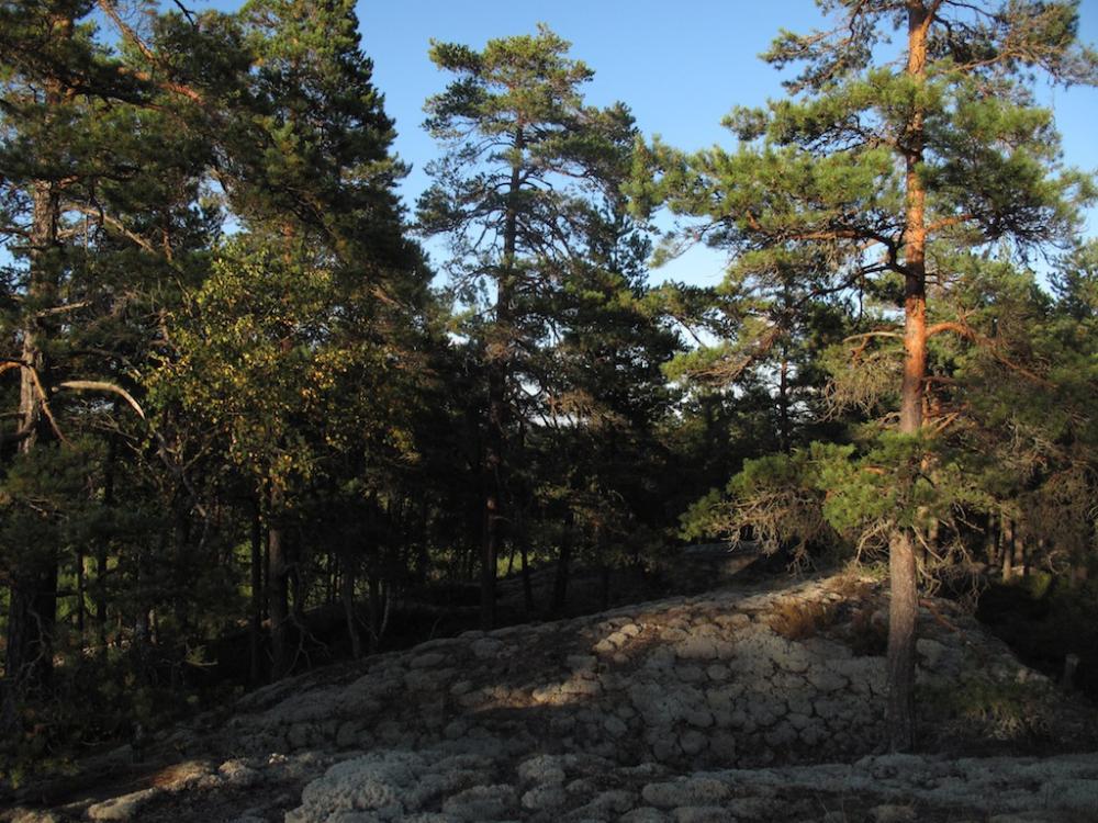 post-1972-0-57317200-1442910066_thumb.jp