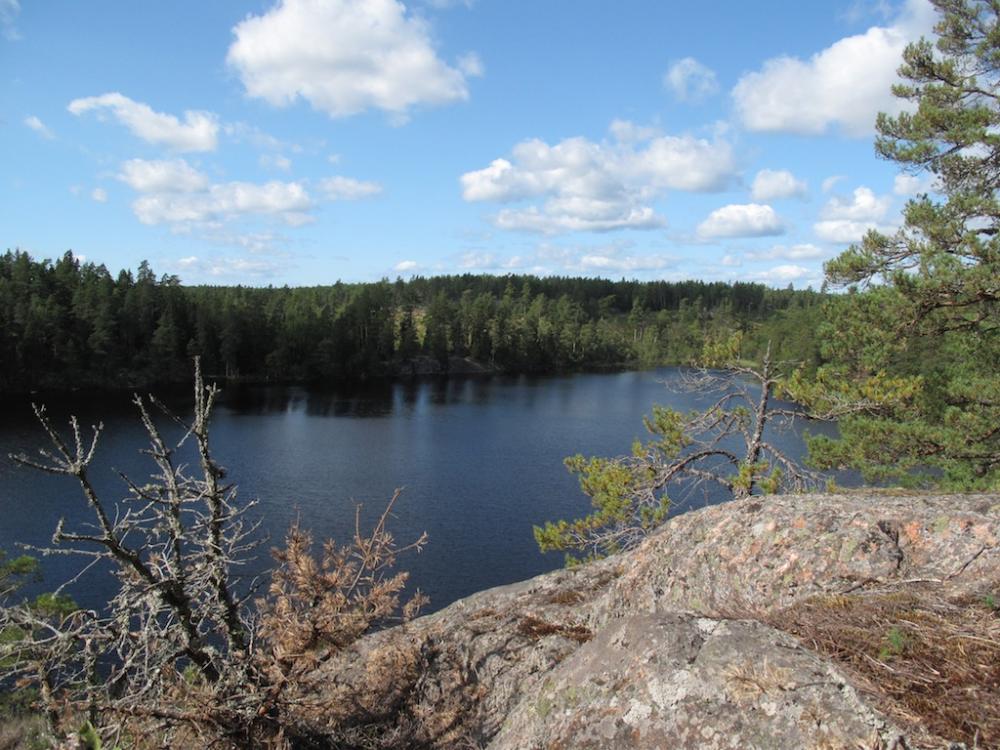 post-1972-0-91295300-1442910575_thumb.jp