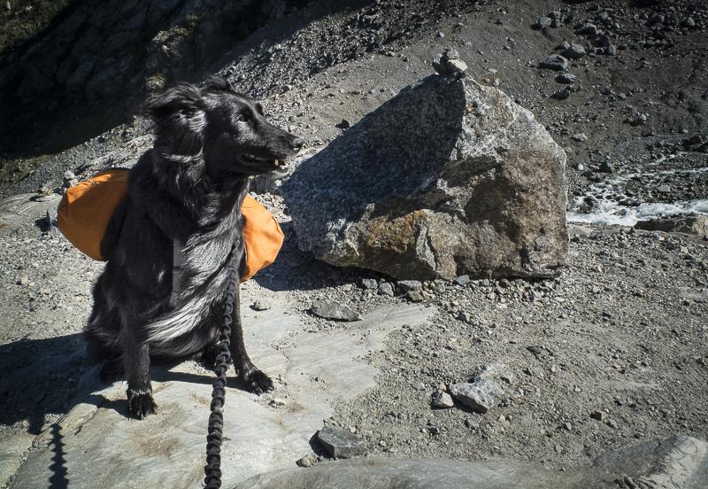 post-1119-0-67445700-1414338849_thumb.jp