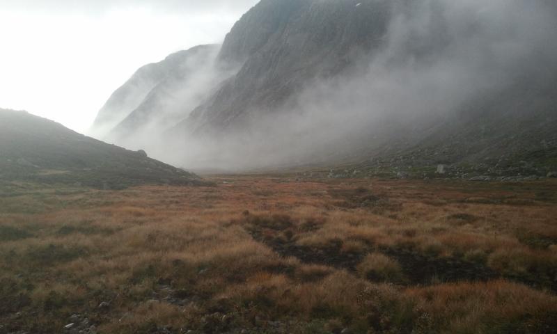 post-1267-0-46586800-1414620149_thumb.jp