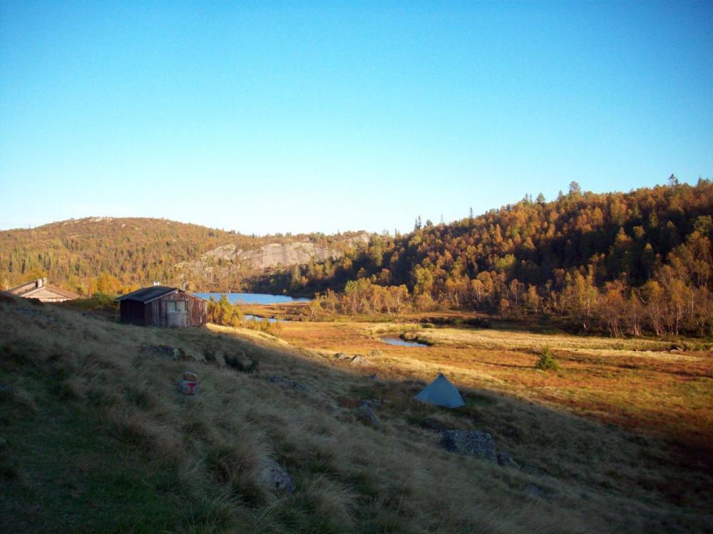 post-1267-0-74413500-1414619929_thumb.jp