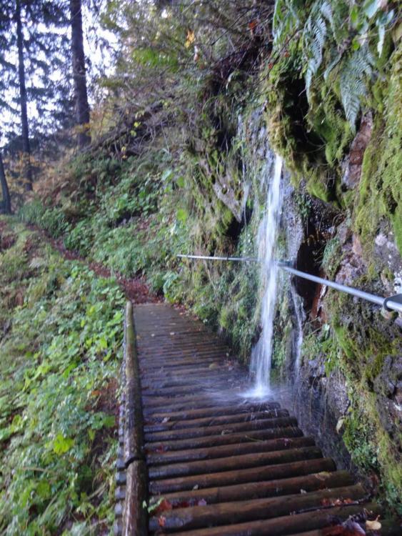 post-1277-0-32731300-1414010826_thumb.jp