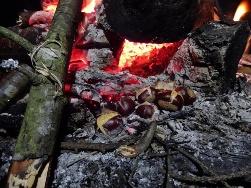 post-1277-0-35465200-1414010634_thumb.jp