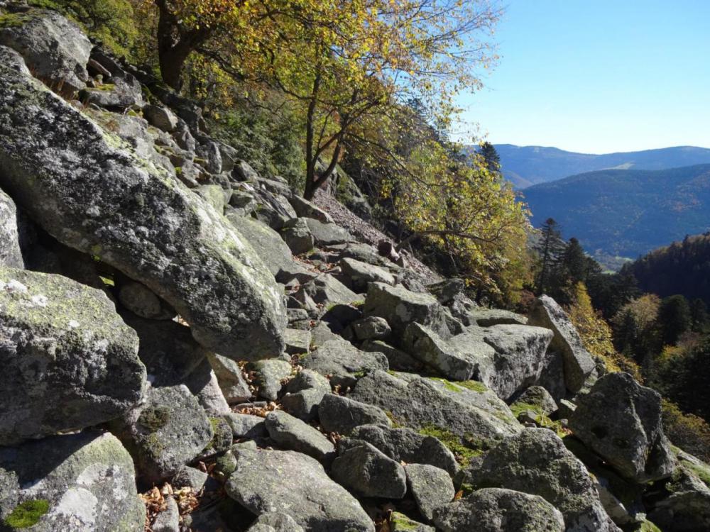 post-1277-0-52499500-1414010858_thumb.jp