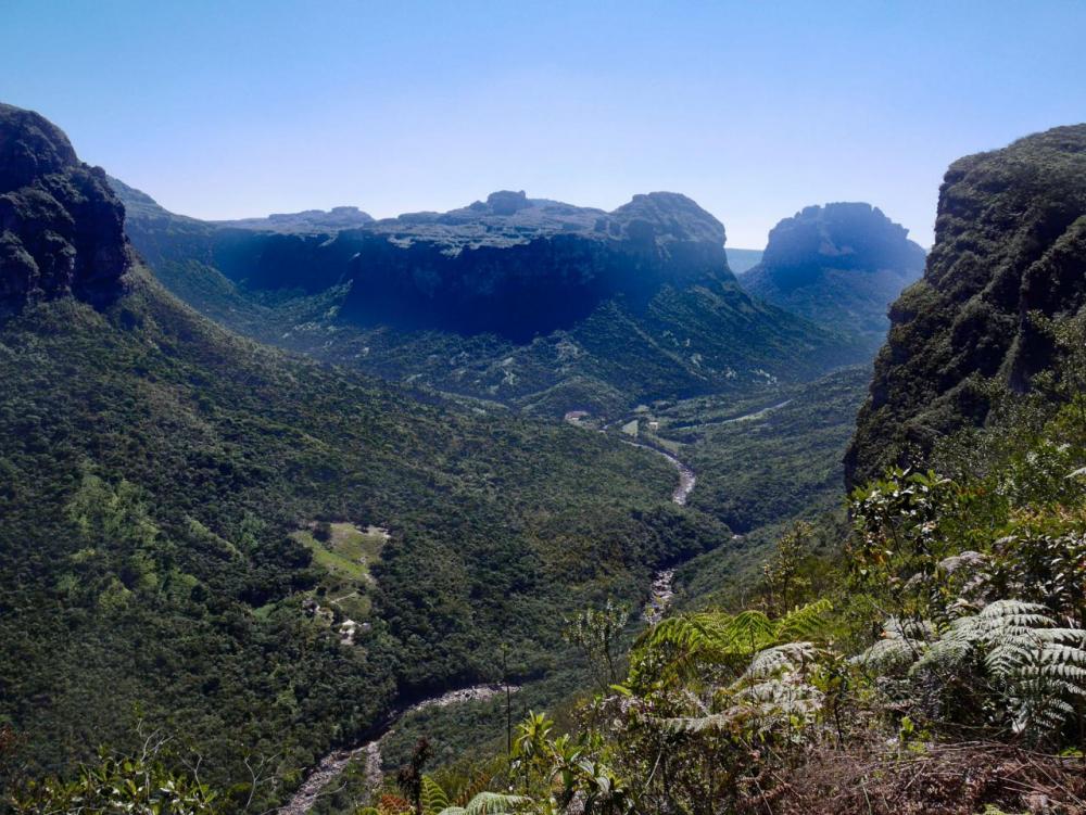 post-1150-0-00035200-1444580928_thumb.jp