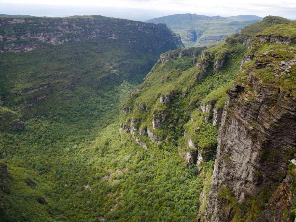 post-1150-0-58370700-1444581183_thumb.jp