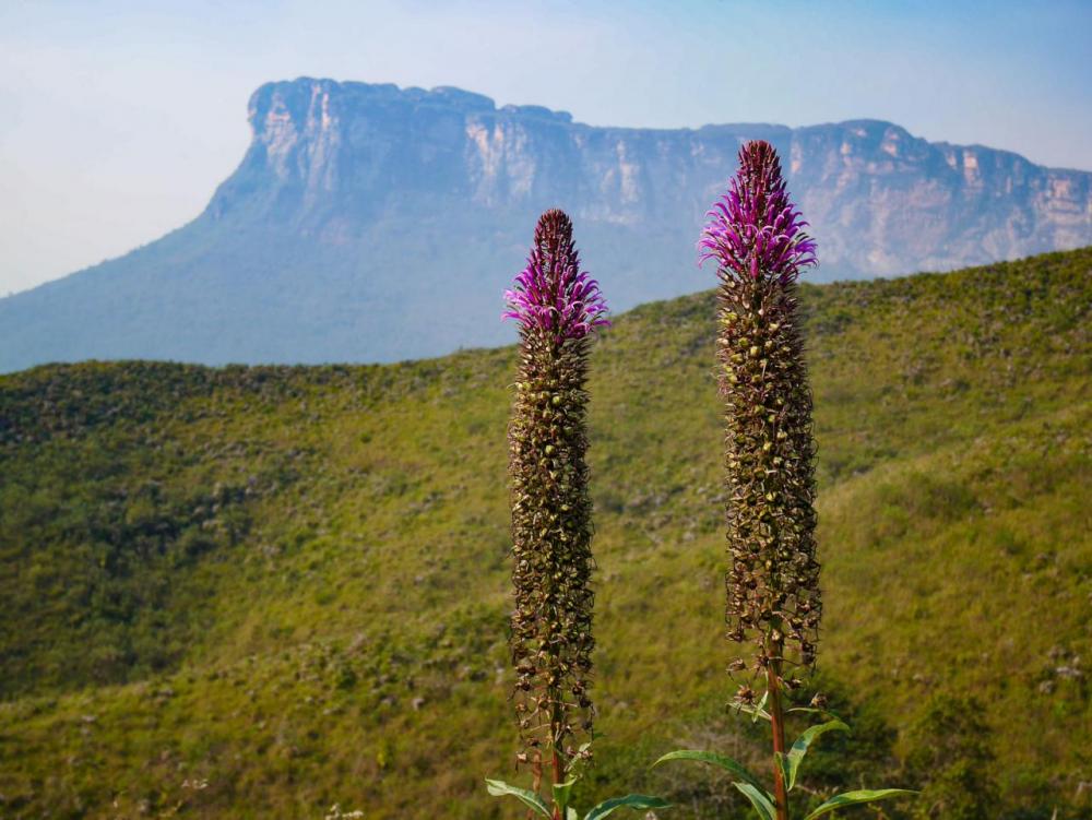 post-1150-0-67994400-1444581129_thumb.jp