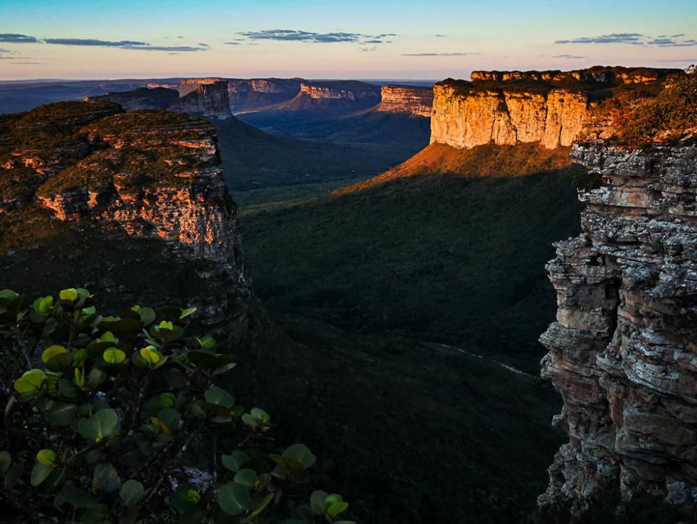 post-1150-0-73501100-1444582283_thumb.jp