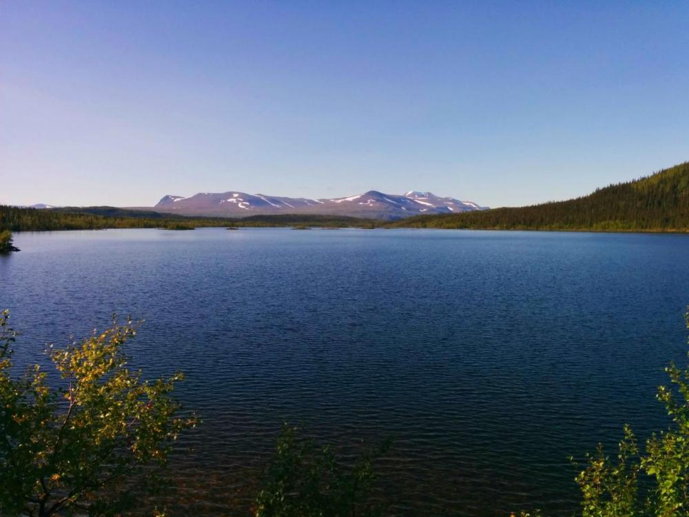 post-1426-0-01911400-1444756345_thumb.jp