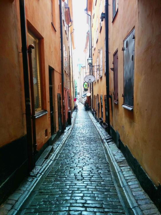 post-1426-0-07416800-1445437771_thumb.jp