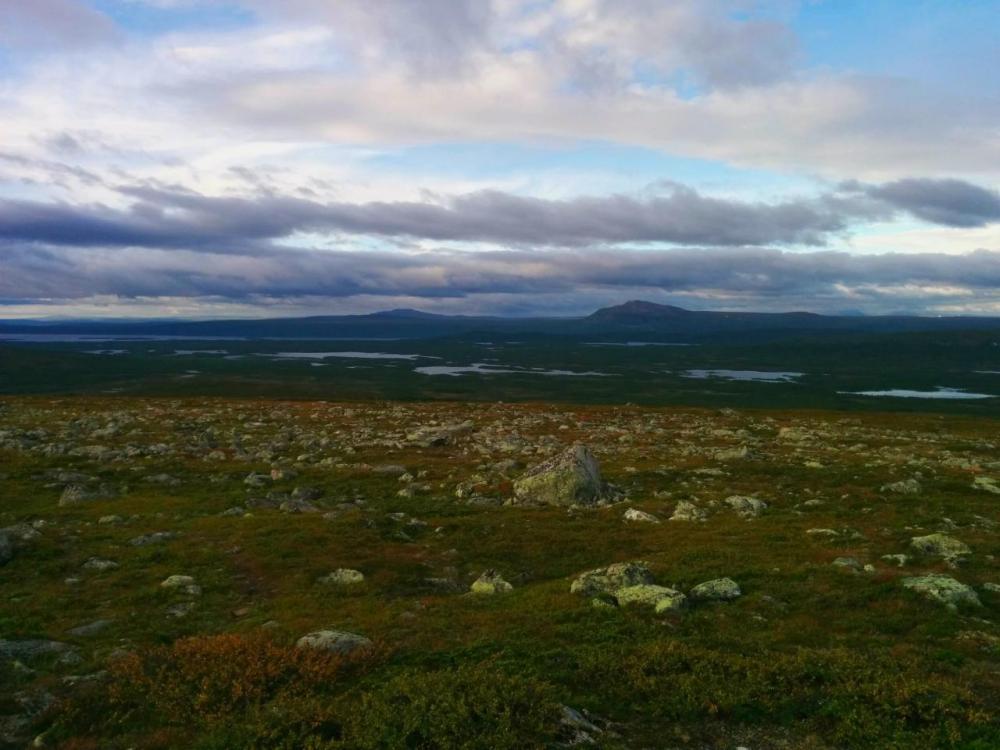 post-1426-0-18595200-1444061749_thumb.jp