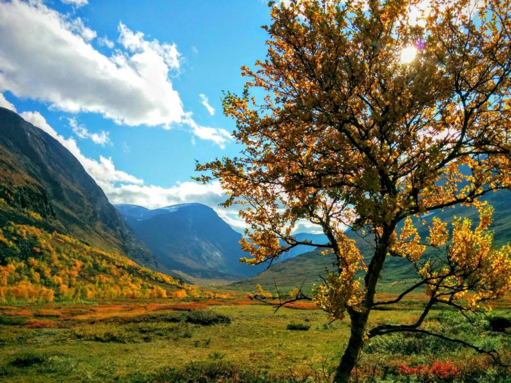 post-1426-0-24518500-1445437047_thumb.jp