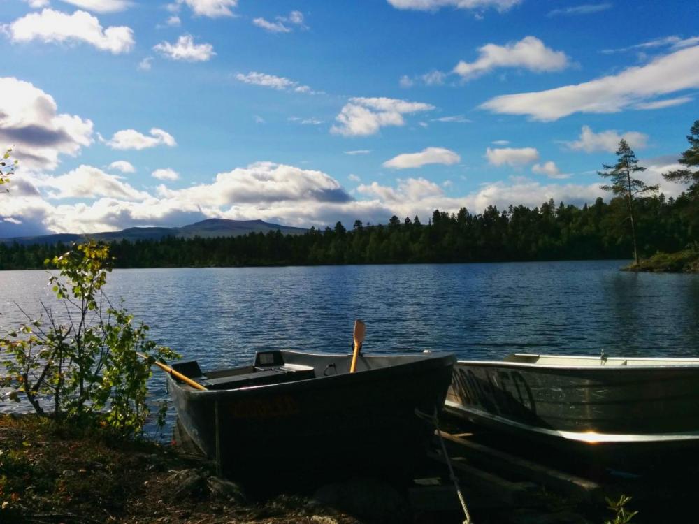 post-1426-0-27447200-1444061003_thumb.jp