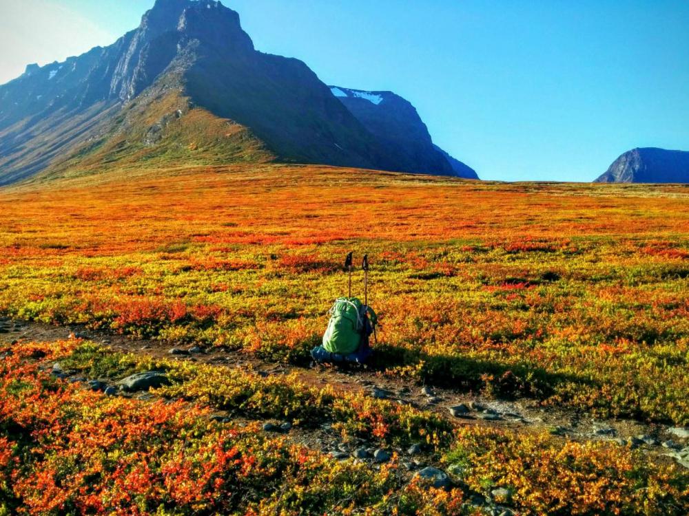 post-1426-0-47866700-1445436510_thumb.jp