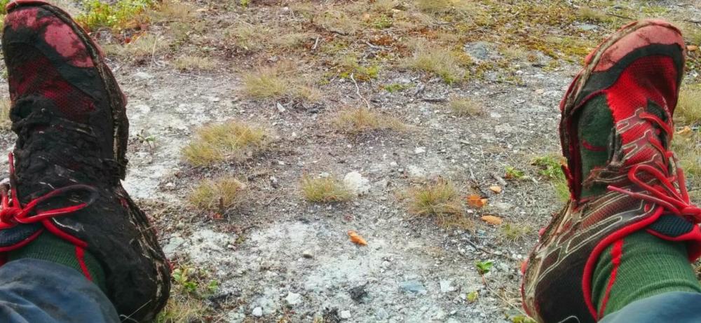 post-1426-0-56473000-1445438535_thumb.jp