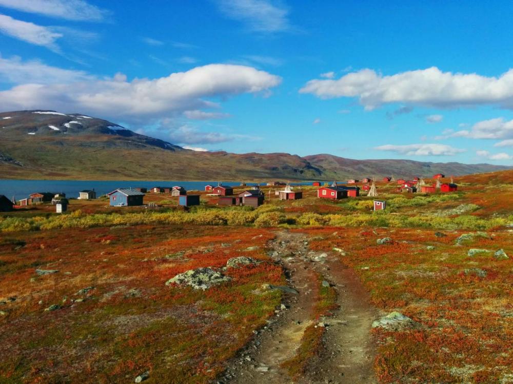 post-1426-0-60846800-1445437421_thumb.jp