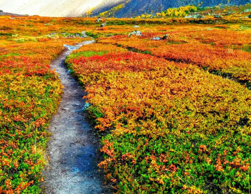 post-1426-0-95231600-1445436997_thumb.jp