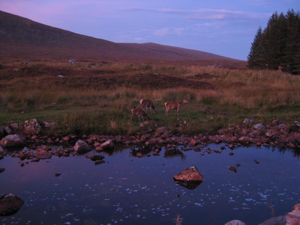 post-2071-0-30121600-1444762448_thumb.jp