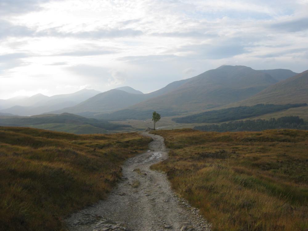 post-2071-0-67798700-1444762256_thumb.jp