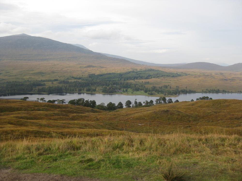 post-2071-0-75970900-1444762252_thumb.jp