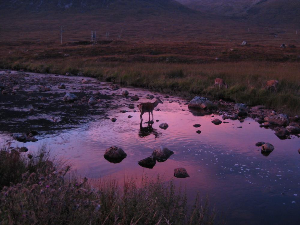 post-2071-0-84926100-1444762461_thumb.jp