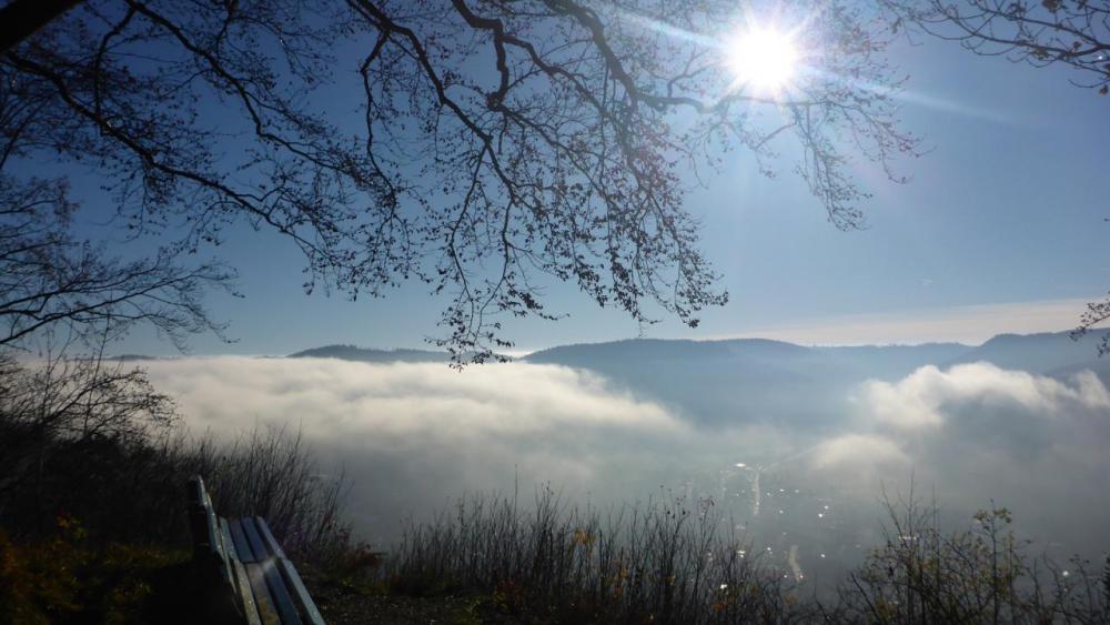 post-1325-0-01618500-1417285519_thumb.jp