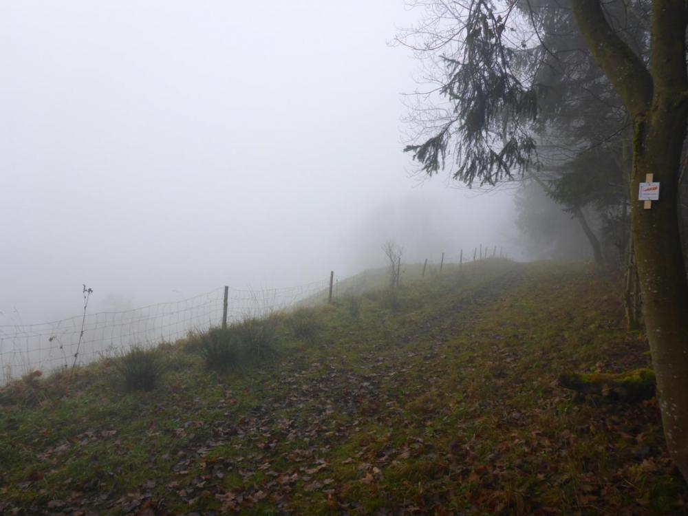 post-1325-0-11758000-1417288023_thumb.jp