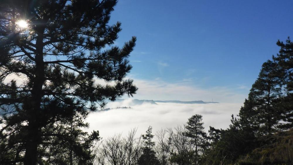 post-1325-0-36053400-1417285002_thumb.jp