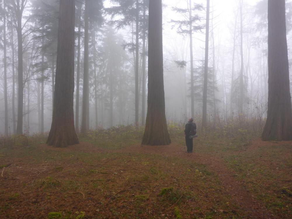 post-1325-0-40267000-1417287885_thumb.jp