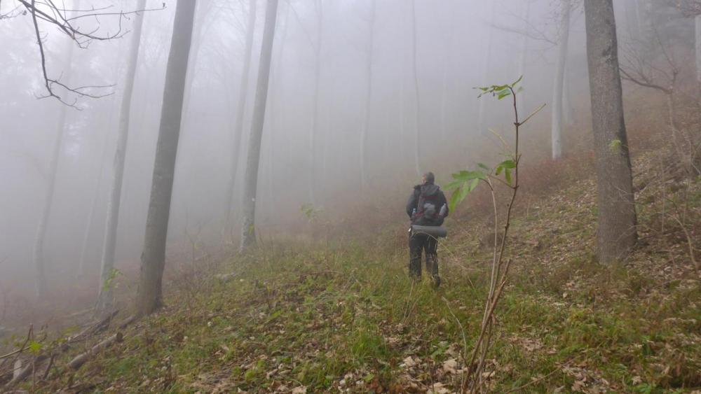 post-1325-0-46430900-1417288072_thumb.jp