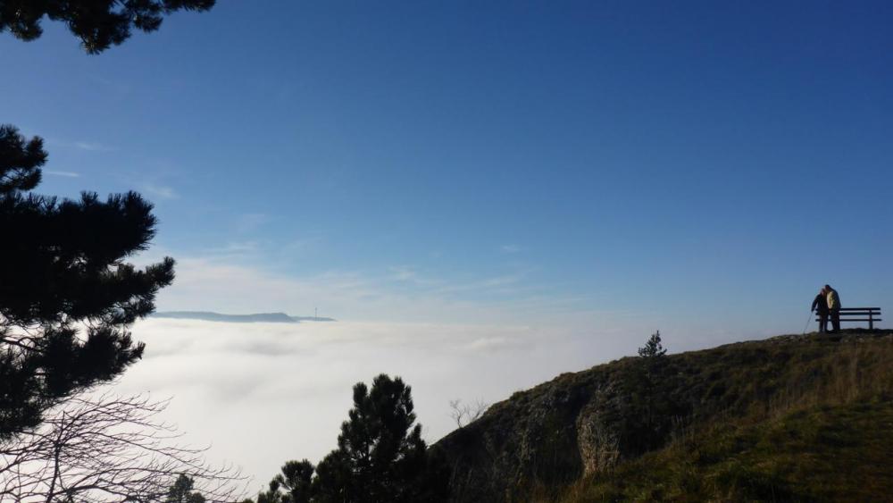 post-1325-0-50297700-1417284992_thumb.jp