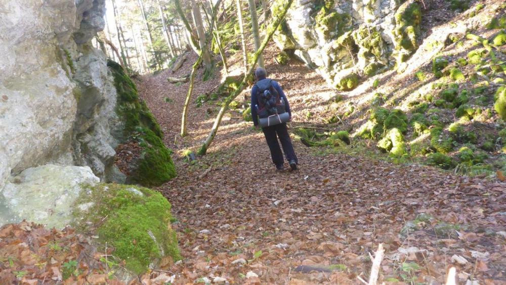 post-1325-0-51096800-1417286733_thumb.jp