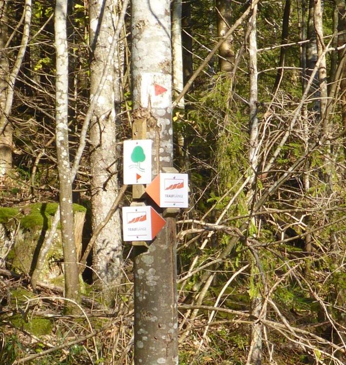 post-1325-0-56801500-1417287010_thumb.jp