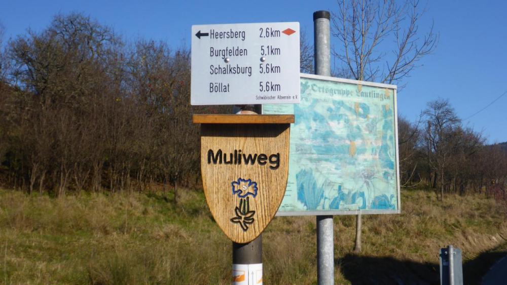 post-1325-0-68506800-1417285988_thumb.jp