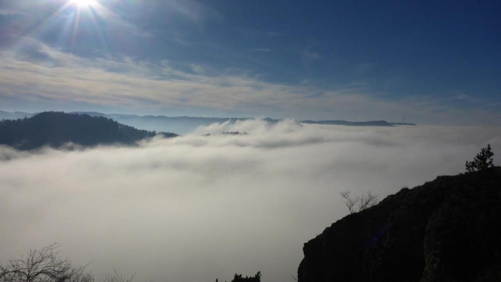 post-1325-0-76087100-1417284984_thumb.jp