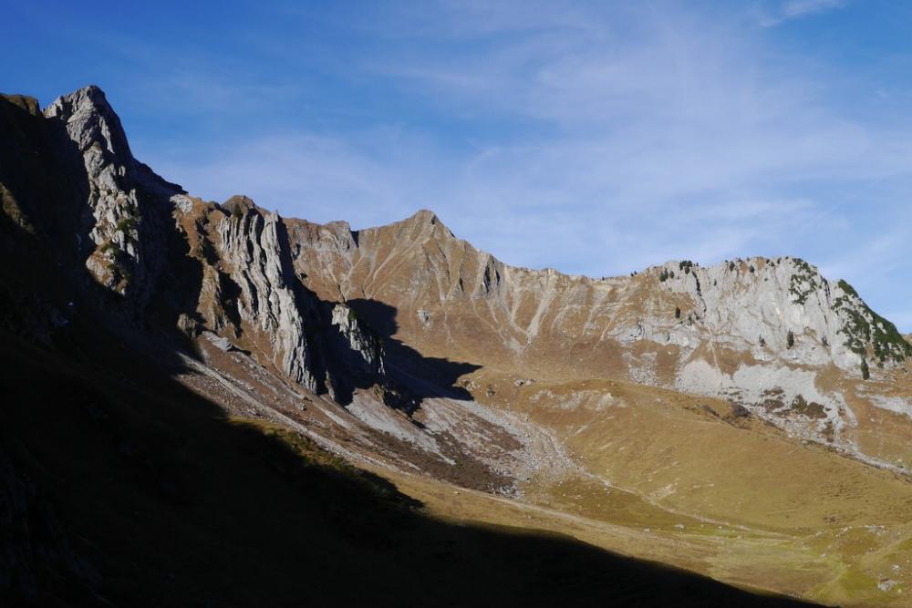 post-2077-0-03832300-1447102543_thumb.jp