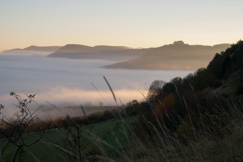 post-2077-0-80229600-1446496612_thumb.jp