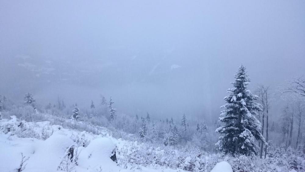 post-2159-0-37770100-1448825498_thumb.jp