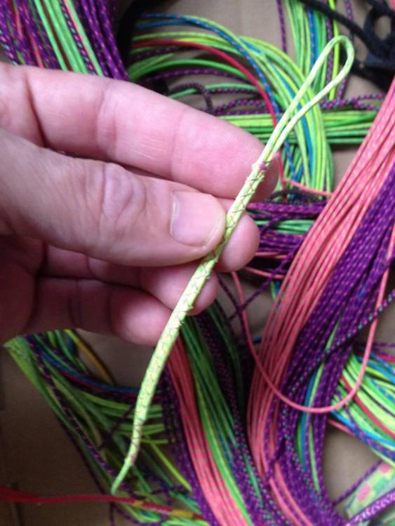 Kevlarleinen vom Gleitschirm.jpg