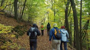 Kleine Wanderung