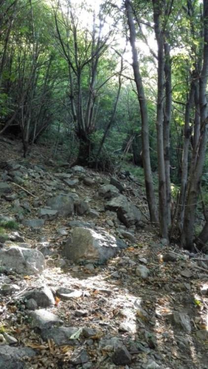 5687c75b44e56_Pyrenen169.thumb.jpg.849cf