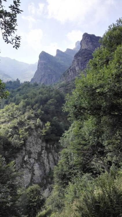 5687d59c2754f_Pyrenen221.thumb.jpg.41a32