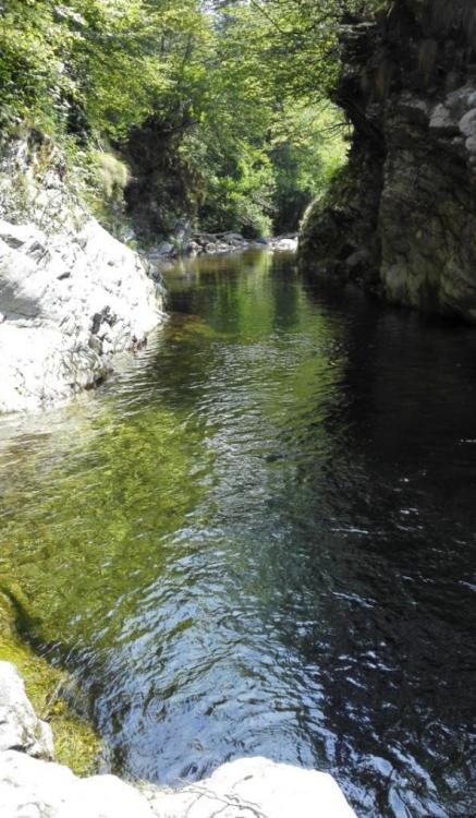 5687d5a37c734_Pyrenen235.thumb.jpg.f4316