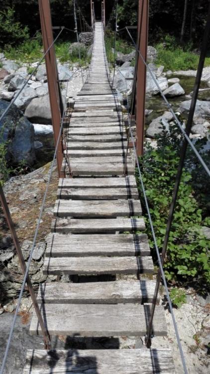 5687d5adc9b1b_Pyrenen244.thumb.jpg.75fbe