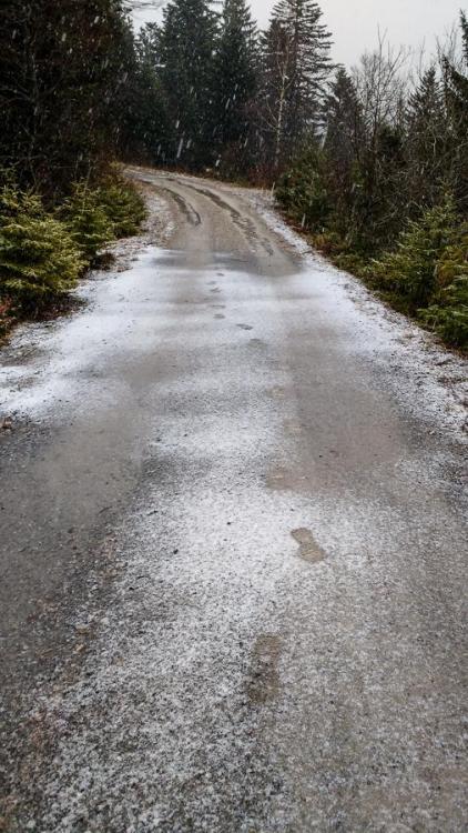 IMG_20160110_102006603.thumb.jpg.0268029