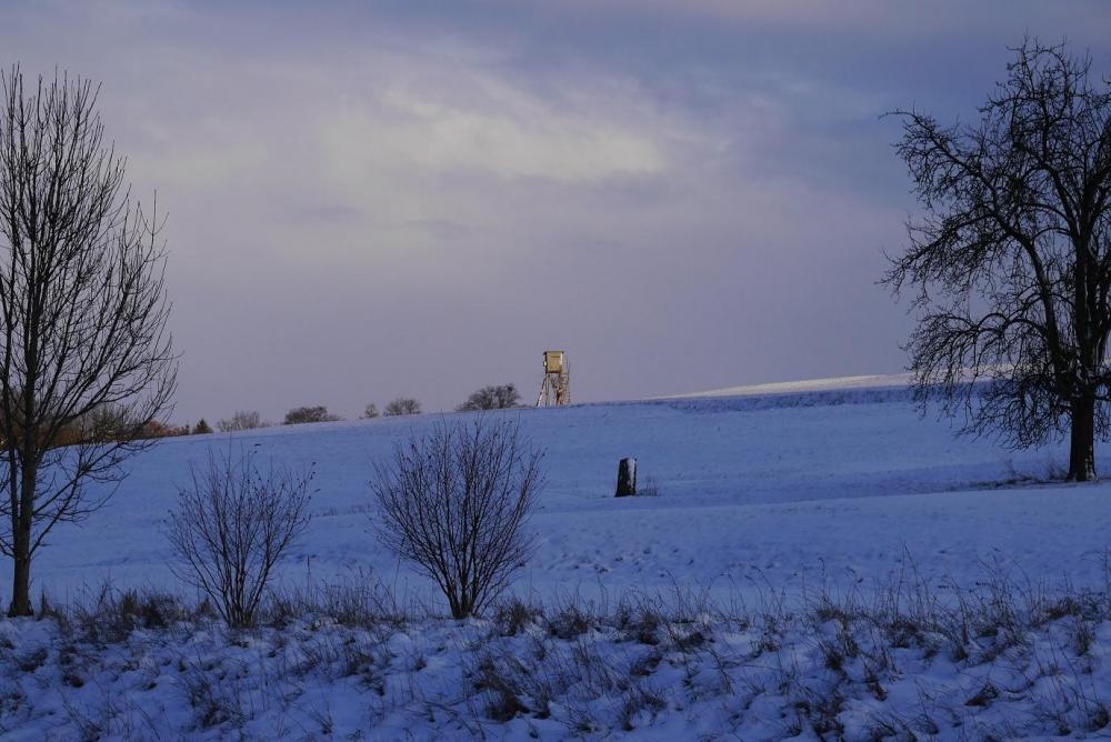 P1290080.thumb.JPG.44e03e1dcb90e088c1114