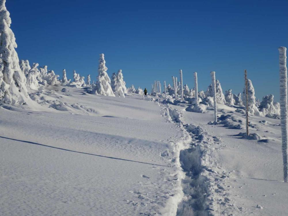 R11.thumb.jpg.000f949bf3141ce755aa06b1b0