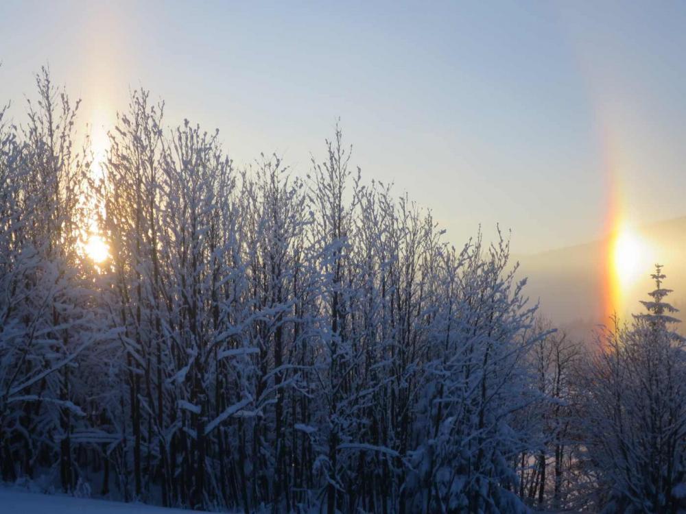 R3_MalaUpa.thumb.jpg.20187091b9e77f33e44