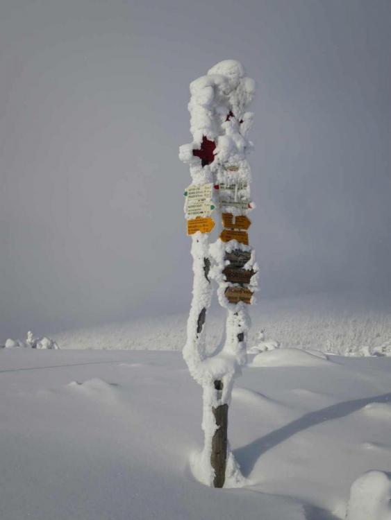 R8_LucniPlan.thumb.jpg.9225106f253949501