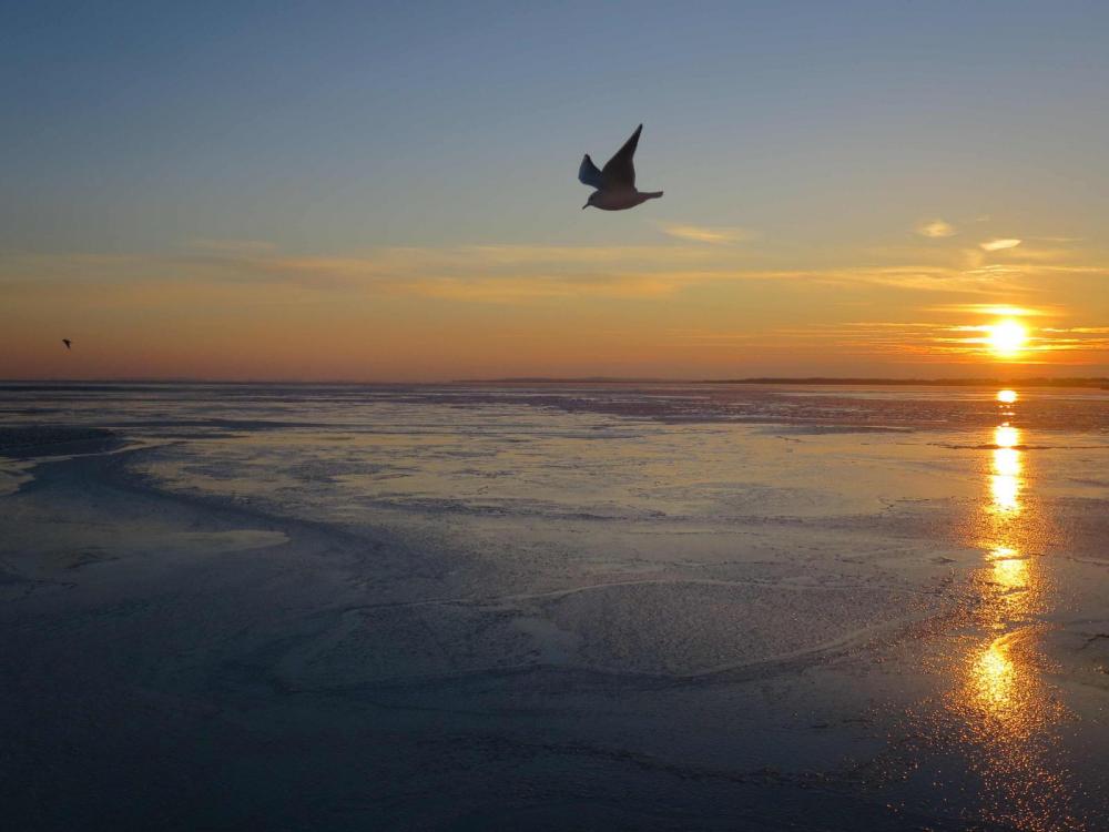 eis3.thumb.jpg.8b1932945ce90aea8781ef203